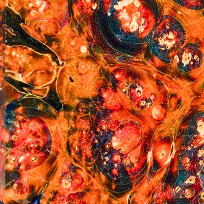 flammende holundermaser