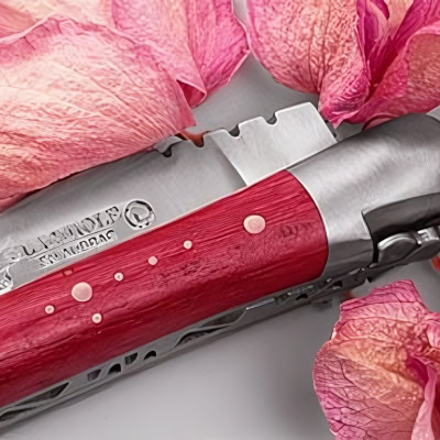 Einzelklingen Taschenmesser